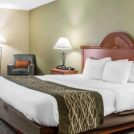 Comfort Inn Pine Grove I-81 Hershey Area Dış mekan fotoğraf