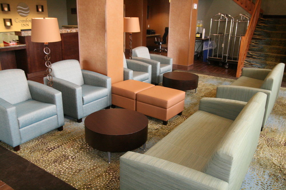 Comfort Inn Pine Grove I-81 Hershey Area Dış mekan fotoğraf